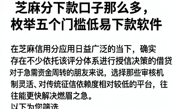 芝麻分下款口子那么多,枚举五个门槛低易下款软件