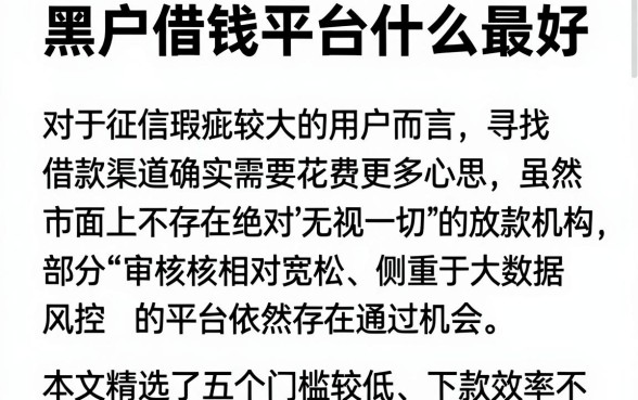黑户借钱平台什么最好,概括5个直接下款的app