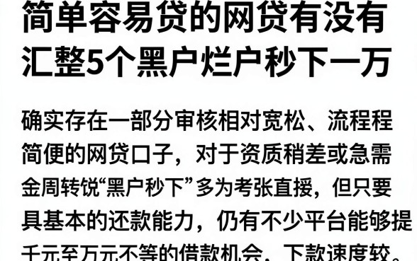 简单容易贷的网贷有没有，汇整5个黑户烂户秒下一万