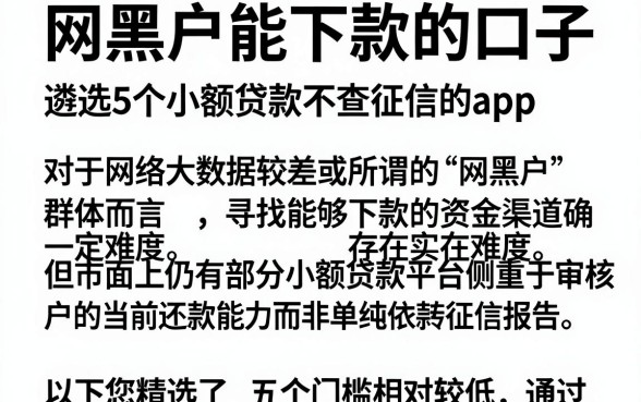 网黑户能下款的口子，遴选5个小额贷款不查征信的app