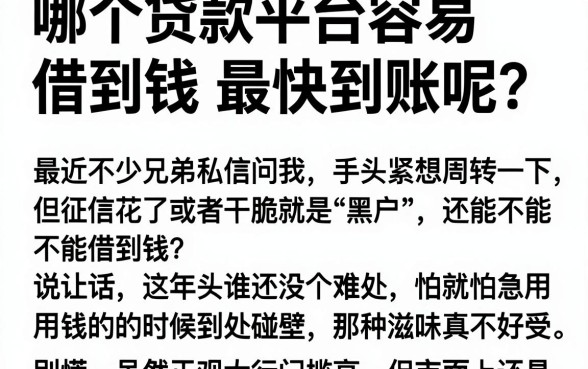 哪个贷款平台容易借到钱最快到账呢，概览五个黑户成功获取大额贷款的平台