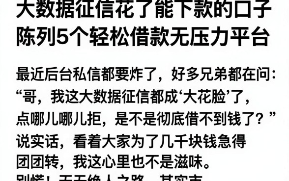大数据征信花了能下款的口子,陈列5个轻松借款无压力平台
