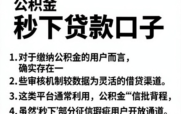 公积金 秒下贷款口子,枚举5个无视黑白的网贷app