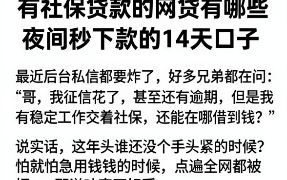 有社保贷款的网贷有哪些,整理五个夜间秒下款的14天口子