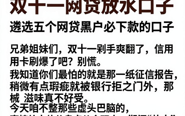双十一网贷放水口子,遴选五个网贷黑户必下款的口子