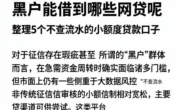 黑户能借到哪些网贷呢,整理5个不查流水的小额度贷款口子