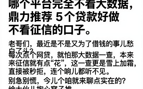 哪个平台完全不看大数据,鼎力推荐5个贷款好做不看征信的口子