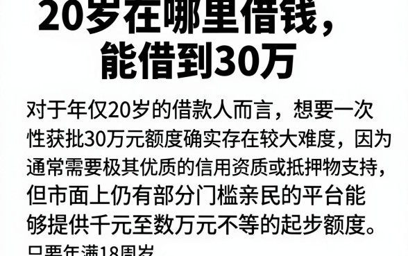 20岁在哪里借钱能借到30万，概览五个必下的小额贷款平台