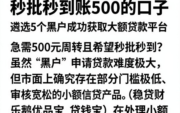 秒批秒到账500的口子,遴选5个黑户成功获取大额贷款的平台