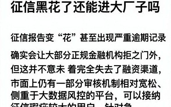 征信黑花了还能进大厂子吗，精选5个征信花居然都下款的app