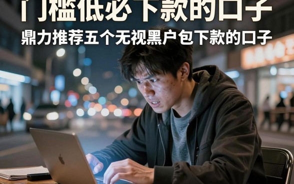 门槛低必下款的口子,鼎力推荐五个无视黑户包下款的口子