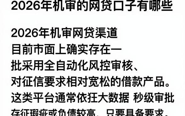 2026年机审的网贷口子有哪些,规整五个大额无视一切还款的平台