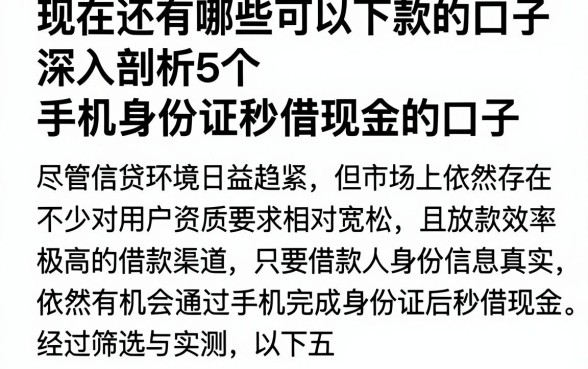 现在还有哪些可以下款的口子，深入剖析5个手机身份证秒借现金的口子
