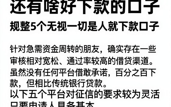 还有啥好下款的口子，规整5个无视一切是人就下款口子