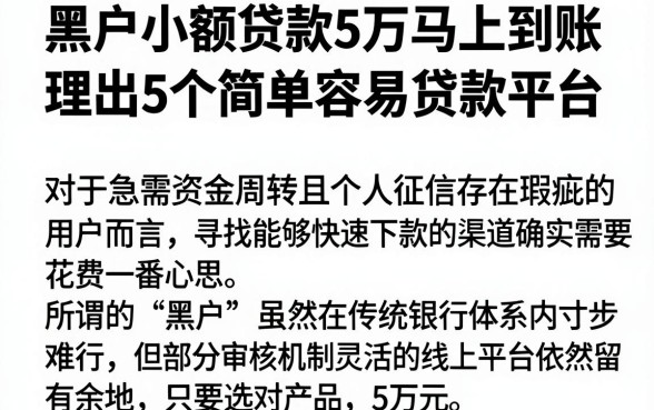 黑户小额贷款5万马上到账，理出5个简单容易贷款平台