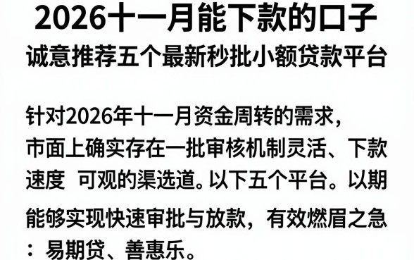 2026十一月能下款的口子,诚意推荐五个最新秒批小额贷款平台