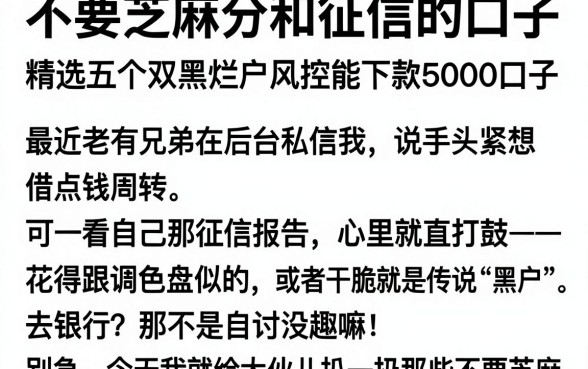 不要芝麻分和征信的口子，精选五个双黑烂户风控能下款5000口子