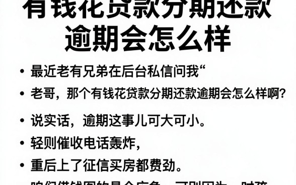 有钱花贷款分期还款逾期会怎么样,整合5个手机身份证秒借现金的口子