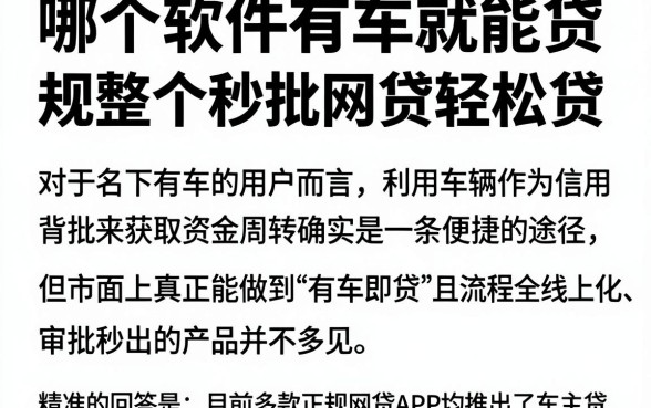 哪个软件有车就能贷,规整五个秒批网贷轻松贷的app