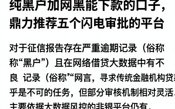 纯黑户加网黑能下款的口子，鼎力推荐五个闪电审批的平台