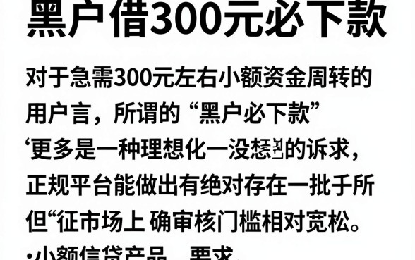 黑户借300元必下款，筛选5个直接下款的app