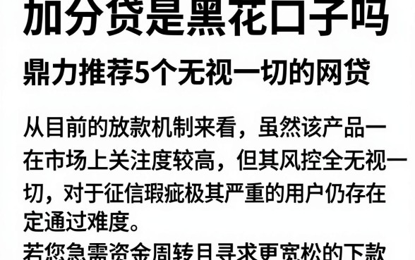 加分贷是黑花口子吗，鼎力推荐5个无视一切的网贷
