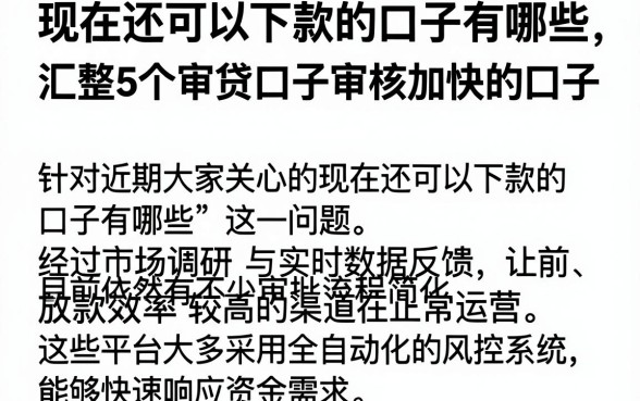 现在还可以下款的口子有哪些，汇整5个审贷口子审核加快的口子