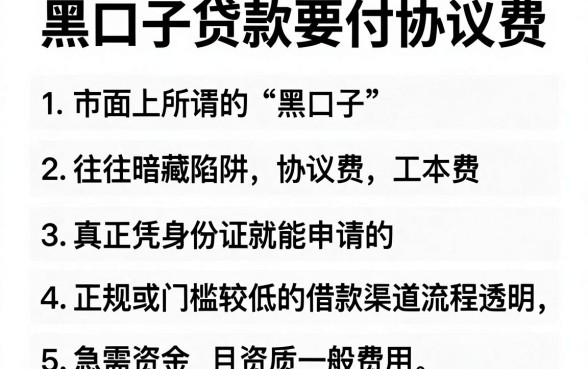 黑口子贷款要付协议费，整合五个凭身份证借款的软件