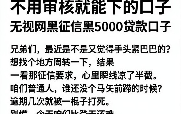 不用审核就能下的口子，梳理五个无视网黑征信黑5000贷款口子