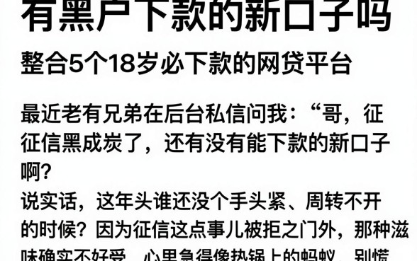 有黑户下款的新口子吗,整合5个18岁必下款的网贷平台