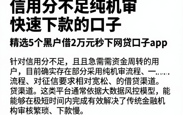 信用分不足纯机审快速下款的口子,精选5个黑户借2万元秒下网贷口子app
