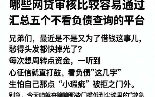 哪些网贷审核比较容易通过，汇总五个不看负债查询的平台