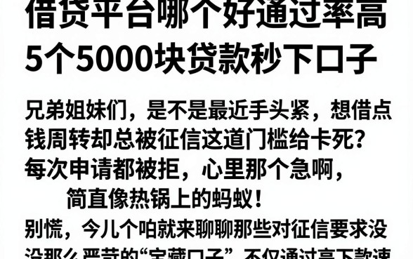 借贷平台哪个好通过率高，概括5个5000块贷款秒下口子