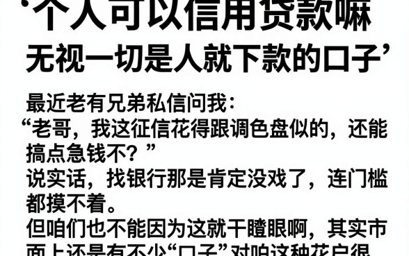 个人可以信用贷款嘛,枚举五个无视一切是人就下款的口子