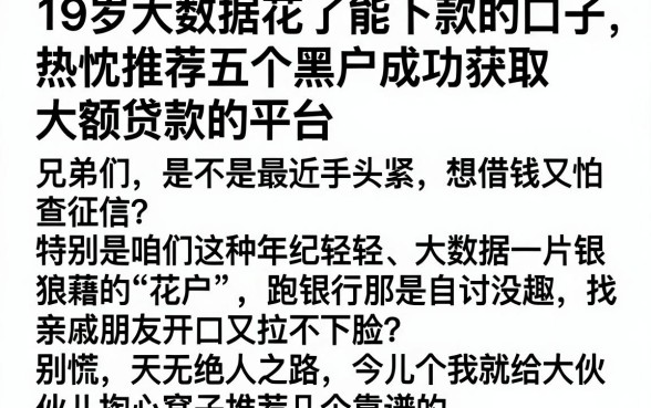19岁大数据花了能下款的口子，热忱推荐五个黑户成功获取大额贷款的平台