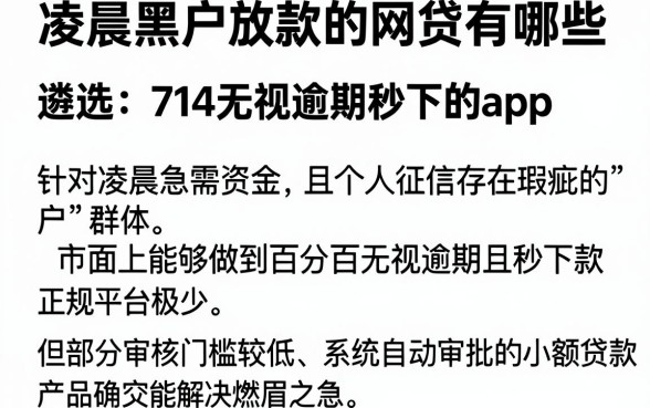 凌晨黑户放款的网贷有哪些,遴选五个714无视逾期秒下的app