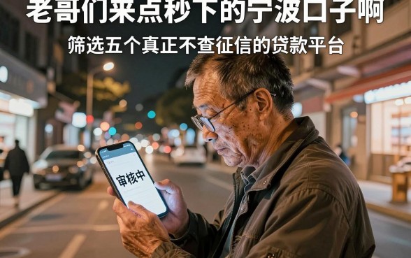 老哥们来点秒下的宁波口子啊,筛选五个真正不查征信的贷款平台