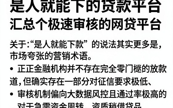 是人就能下的贷款平台，汇总五个极速审核的网贷平台