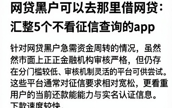 网贷黑户可以去那里借网贷,汇整5个不看征信查询的app