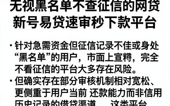 无视黑名单不查征信的网贷，筛选五个新号易贷速审秒下款平台
