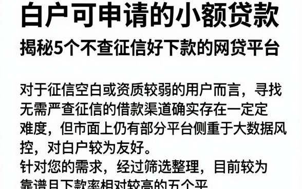 白户可申请的小额贷款,揭秘5个不查征信好下款的网贷平台