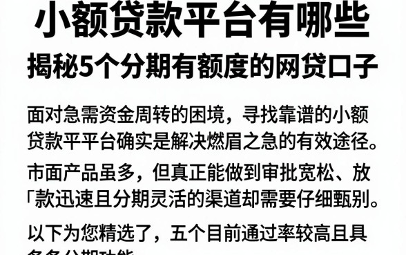 小额贷款平台有哪些，揭秘5个分期有额度的网贷口子