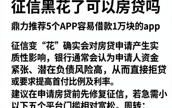 征信黑花了可以房贷吗,鼎力推荐5个APP容易借款1万块的app