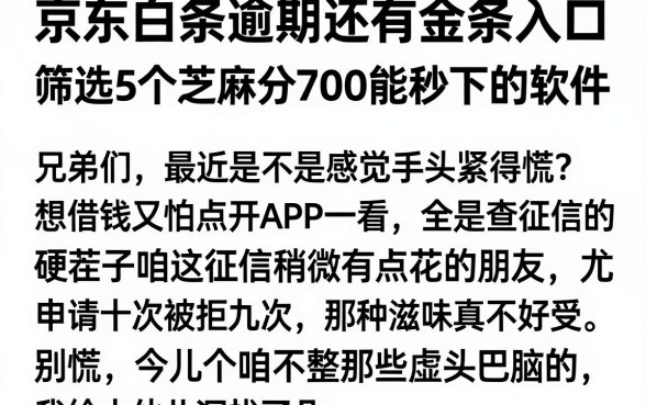 京东白条逾期还有金条入口，筛选5个芝麻分700能秒下的软件