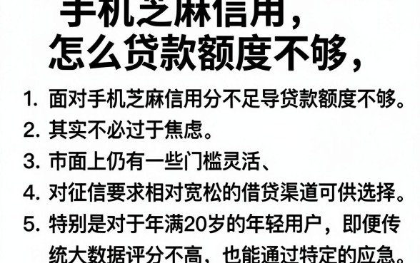 手机芝麻信用怎么贷款额度不够，罗列5个20岁可以借钱平台不查征信的app