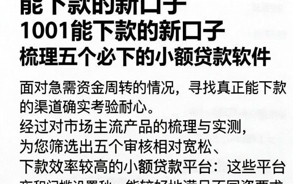 能下款的新口子1001能下款的新口子,梳理五个必下的小额贷款软件