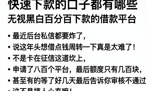 快速下款的口子都有哪些，概括五个无视黑白百分百下款的借款平台