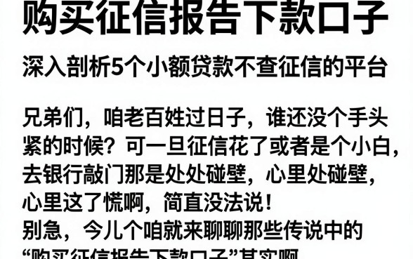 购买征信报告下款口子，深入剖析5个小额贷款不查征信的平台
