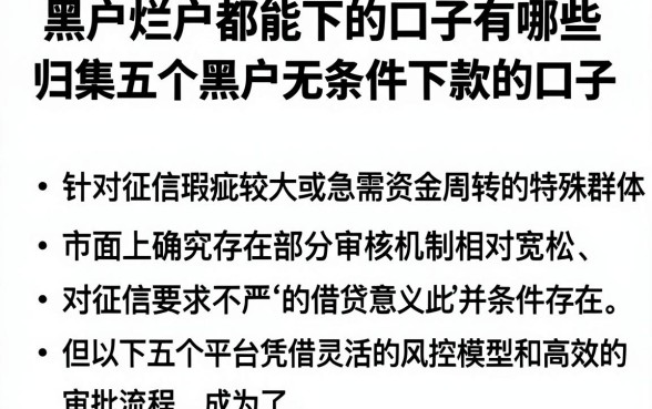 黑户烂户都能下的口子有哪些，归集五个黑户无条件下款的口子