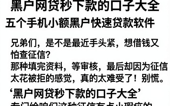 黑户网贷秒下款的口子大全,概览五个手机小额黑户快速贷款软件